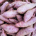 精品紫罗兰紫薯产地一手货源直发量大价优品质保证欢迎采购