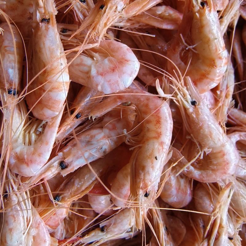 红虾铁皮红虾低盐有口感有卖相跑江湖赶大集小食品原料选品