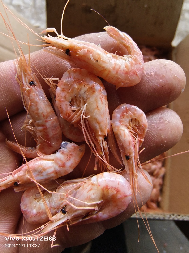 红虾铁皮红虾低盐有口感有卖相跑江湖赶大集小食品原料选品