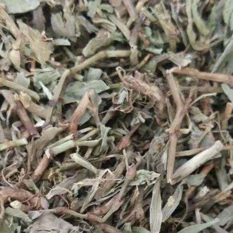 萹蓄猪牙草蚂蚁草道生草野铁扫把