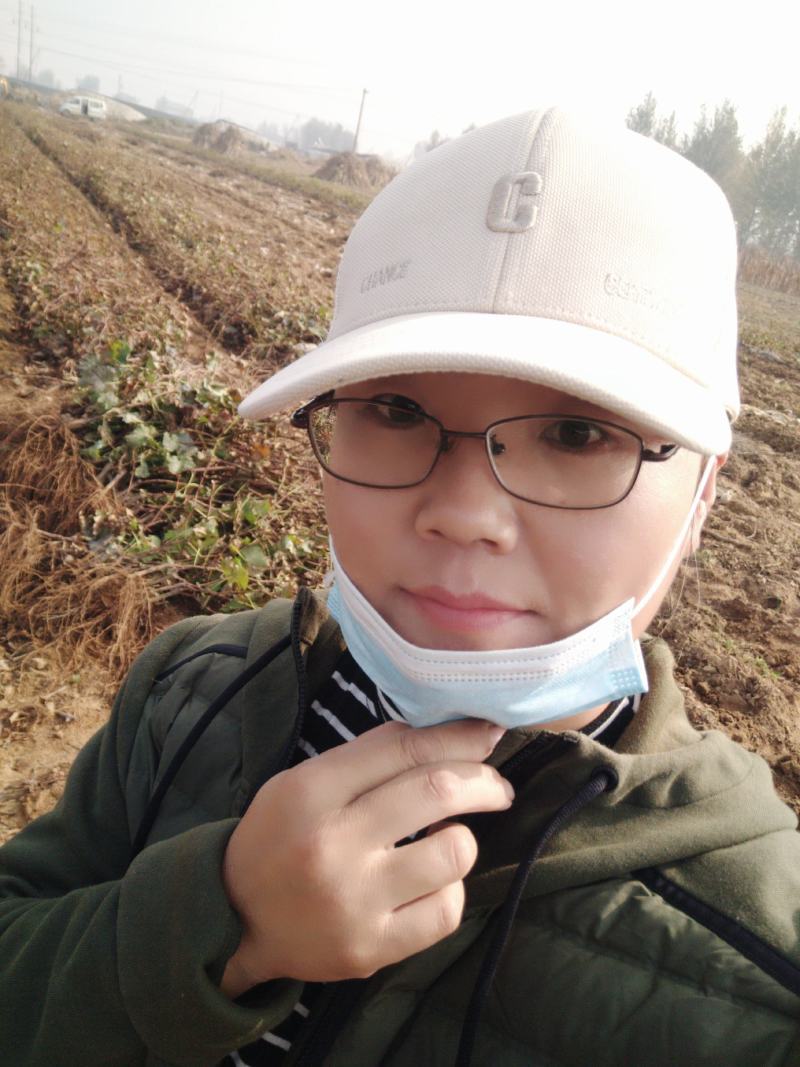 蓝色拉威尔葡萄苗，及早熟，大粒无核自然坐果好抗病高产稳产