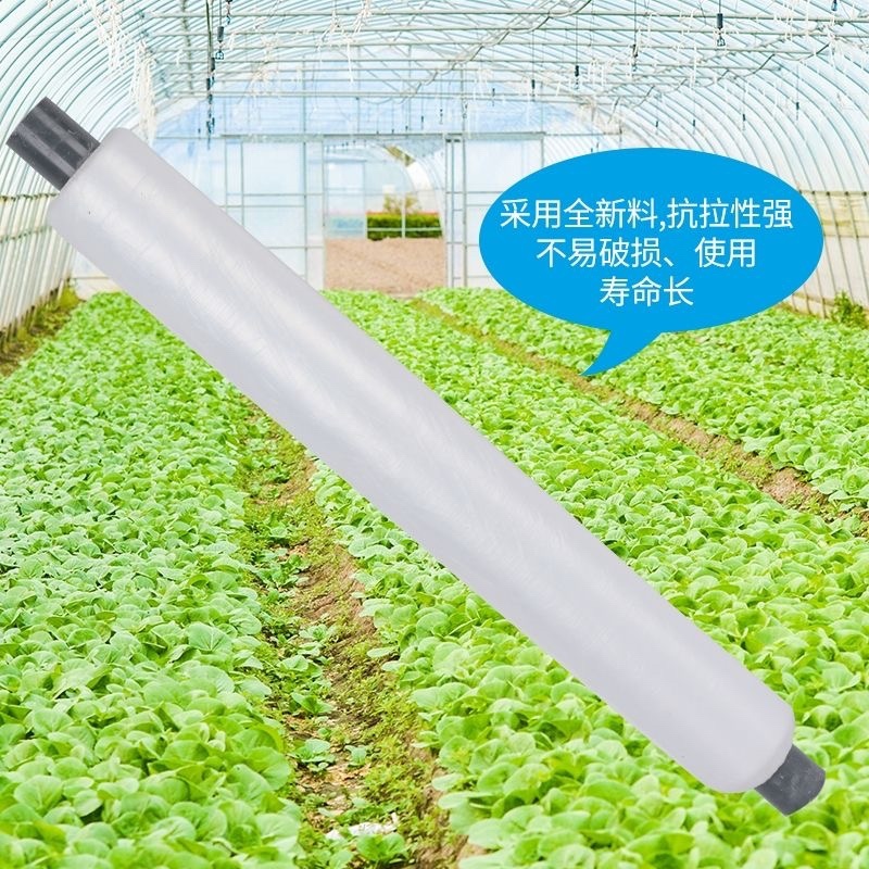 白色地膜保温性好，透光率高，水稻，育苗，根多