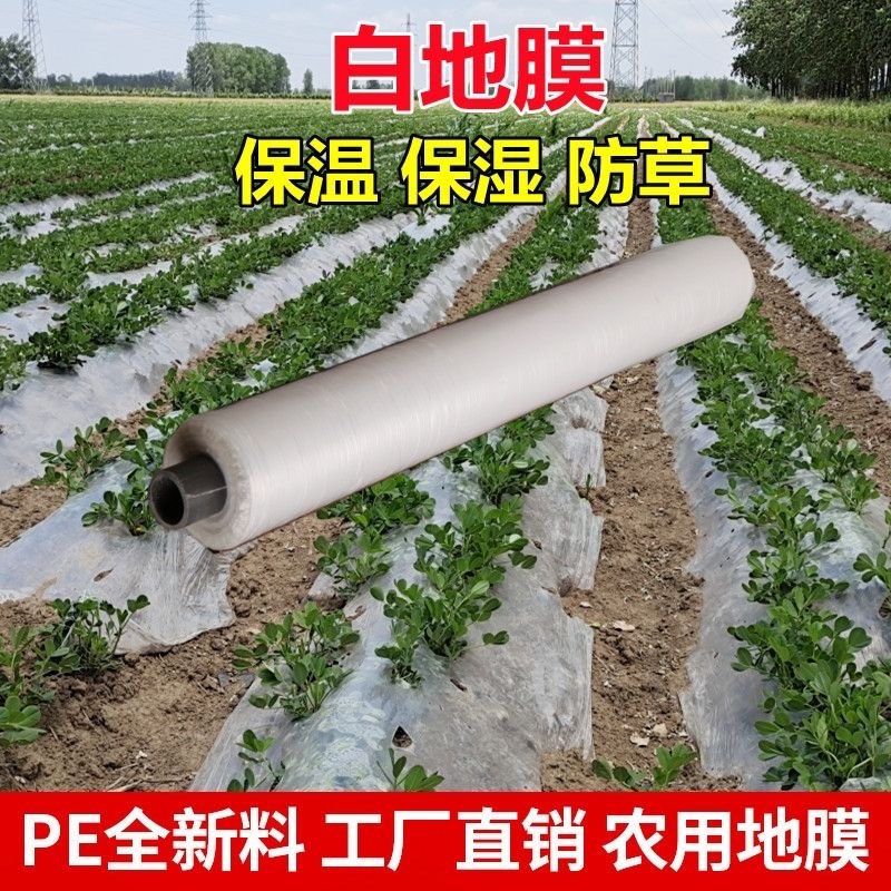 白色地膜保温性好，透光率高，水稻，育苗，根多