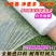 白色地膜保温性好，透光率高，水稻，育苗，根多