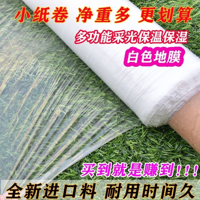 白色地膜保温性好，透光率高，水稻，育苗，根多