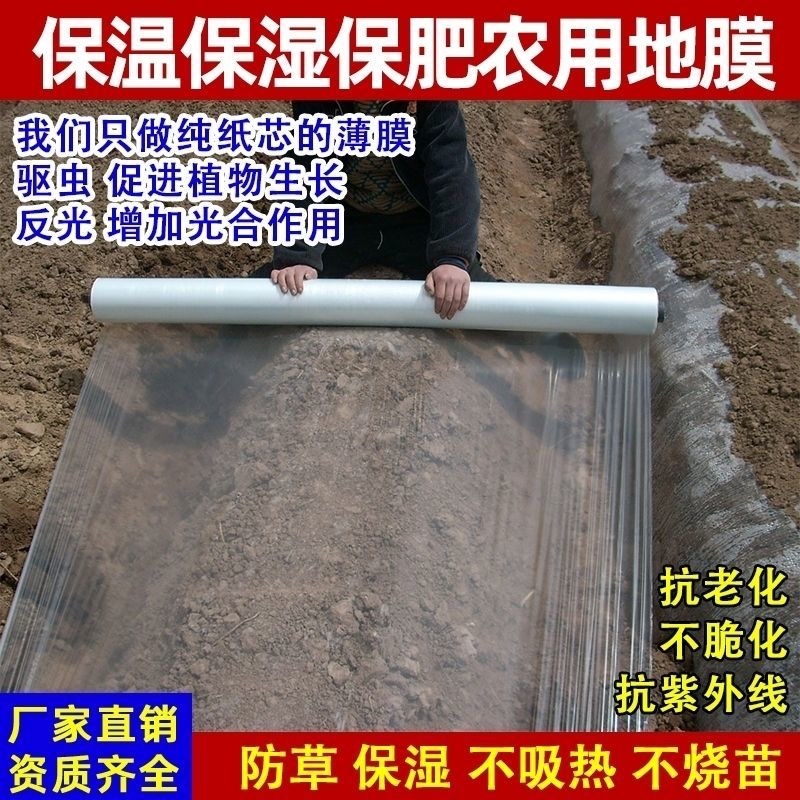 白色地膜保温性好，透光率高，水稻，育苗，根多