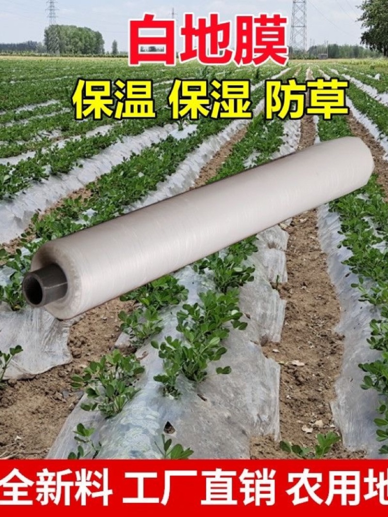 白色地膜保温性好，透光率高，水稻，育苗，根多
