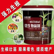 微生物菌剂特种肥料【一件代发】【包邮】20KG/桶146