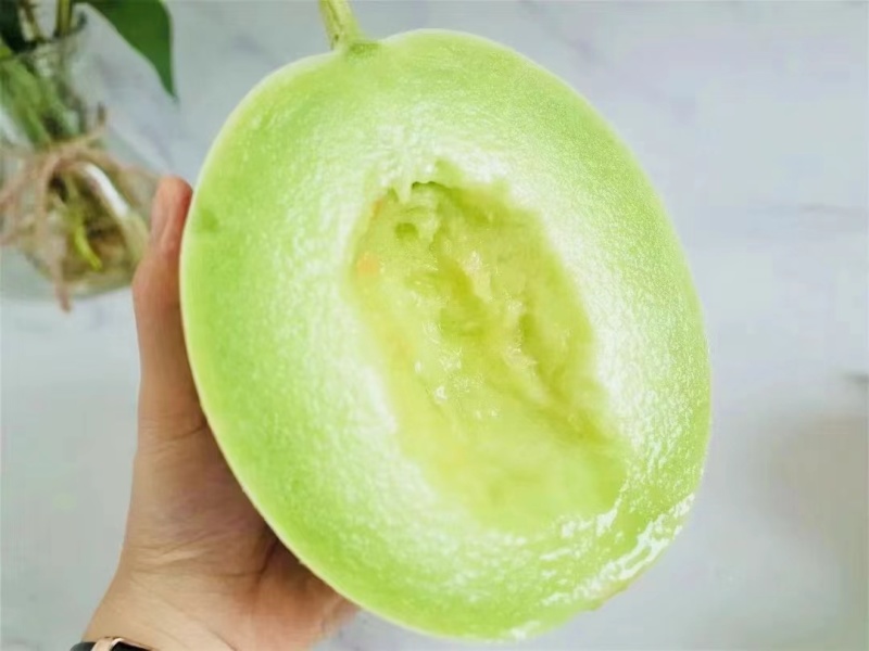 杂交甜瓜种子蜜姑甜瓜果皮白中透绿果肉淡绿色糖度高肉厚腔小