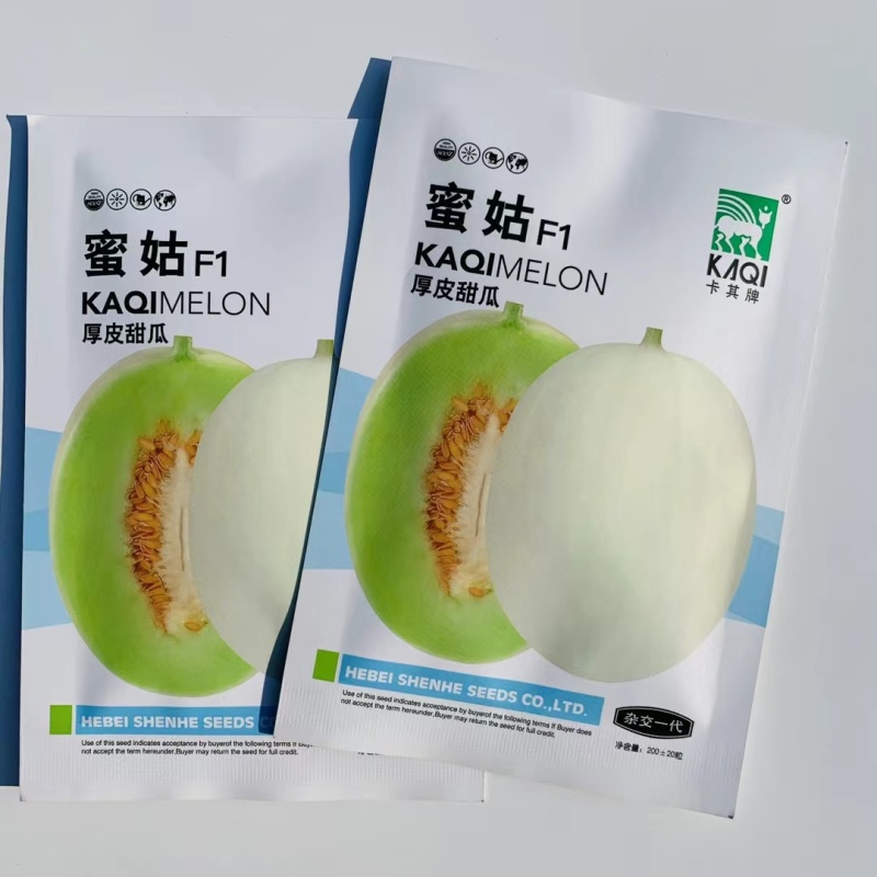 杂交甜瓜种子蜜姑甜瓜果皮白中透绿果肉淡绿色糖度高肉厚腔小