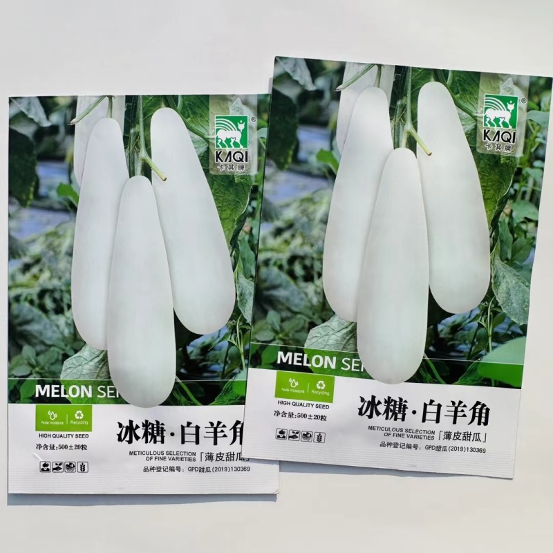 早熟薄皮羊角蜜甜瓜种子果皮白色果肉白色腔小肉厚不易裂瓜