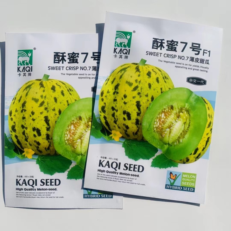 早熟高糖杂交一代薄皮甜瓜种子果皮绿黄色覆绿色斑块果肉绿色