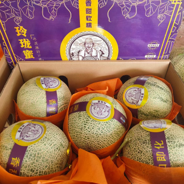 【实力】海南网纹玫珑瓜-甜度高供电商及市场，量大质优