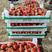 红颜草莓，大量上市，产地直发，无中间商，欢迎采购