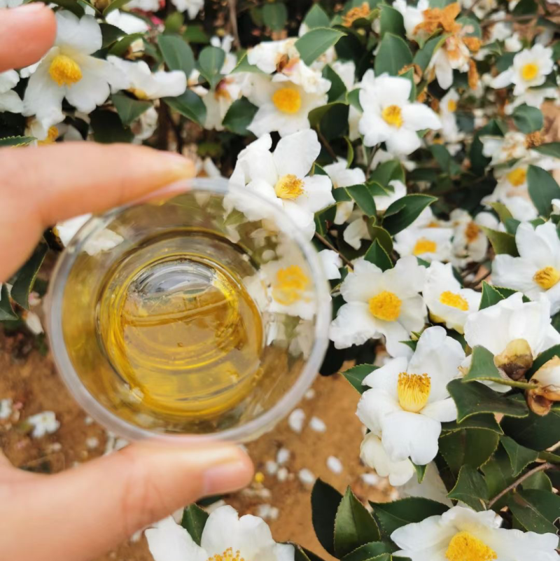 纯正山茶油