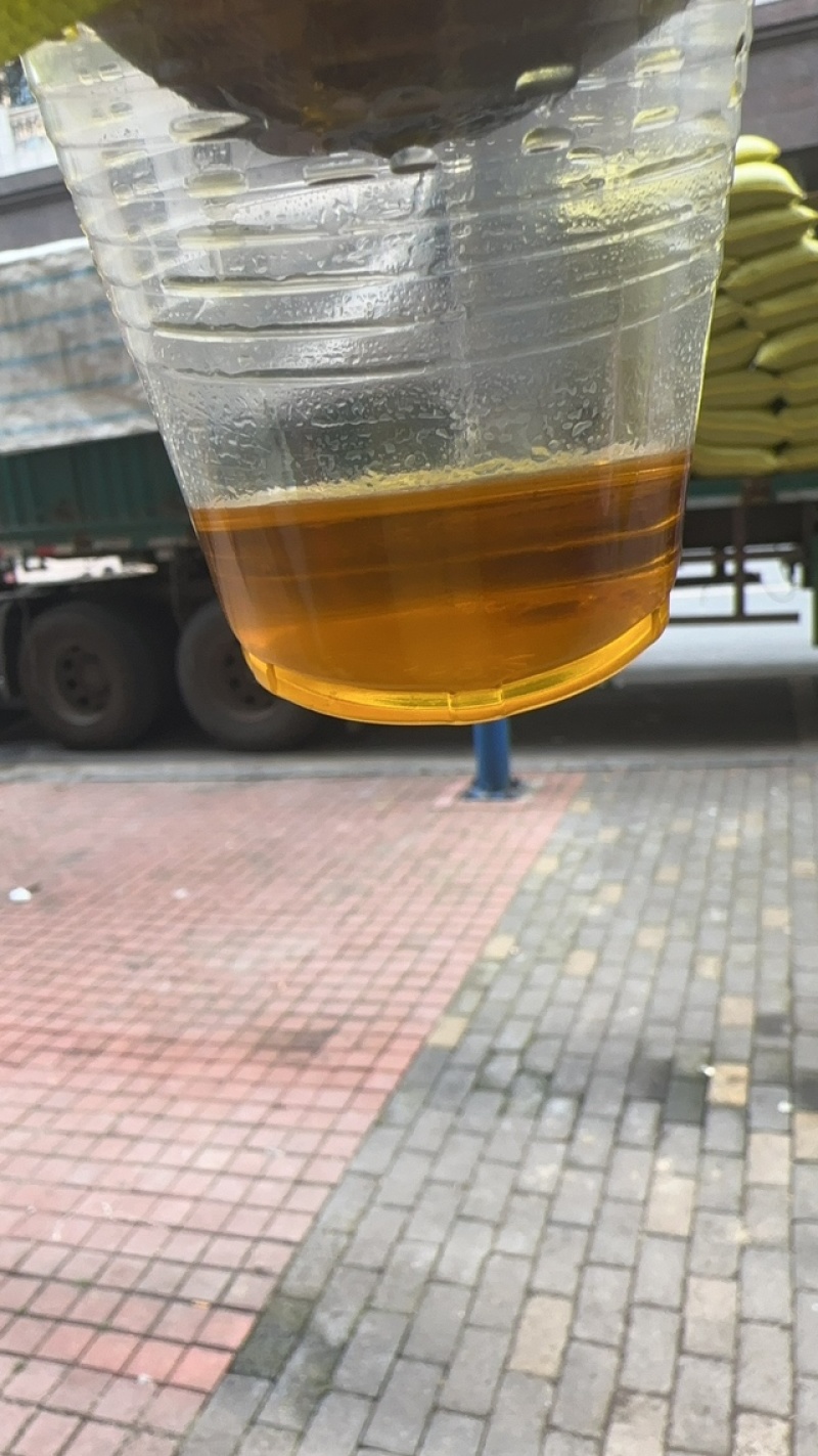 纯正山茶油