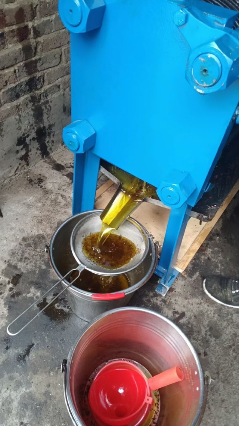 纯正山茶油