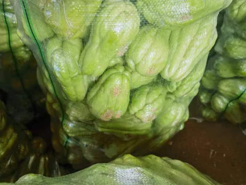 生姜炖鸡汤的成品图