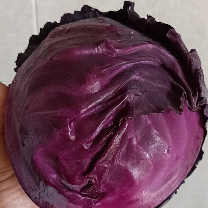 甘蓝菜，紫甘蓝，兰州包批发零售