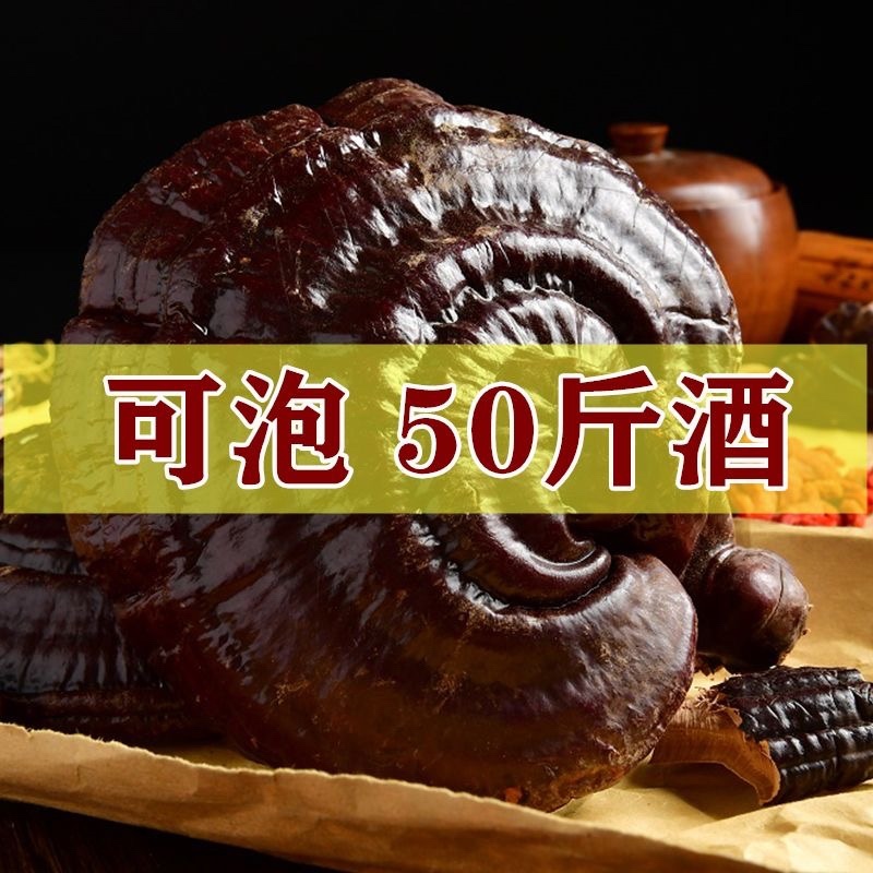 长白山整朵灵芝东北林下灵芝紫灵芝泡酒料包邮