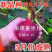 无花果苗波姬红品种纯正死苗包赔