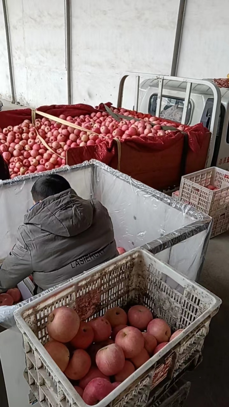 苹果