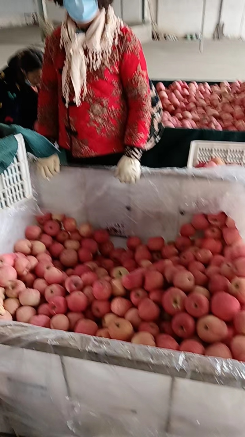 苹果