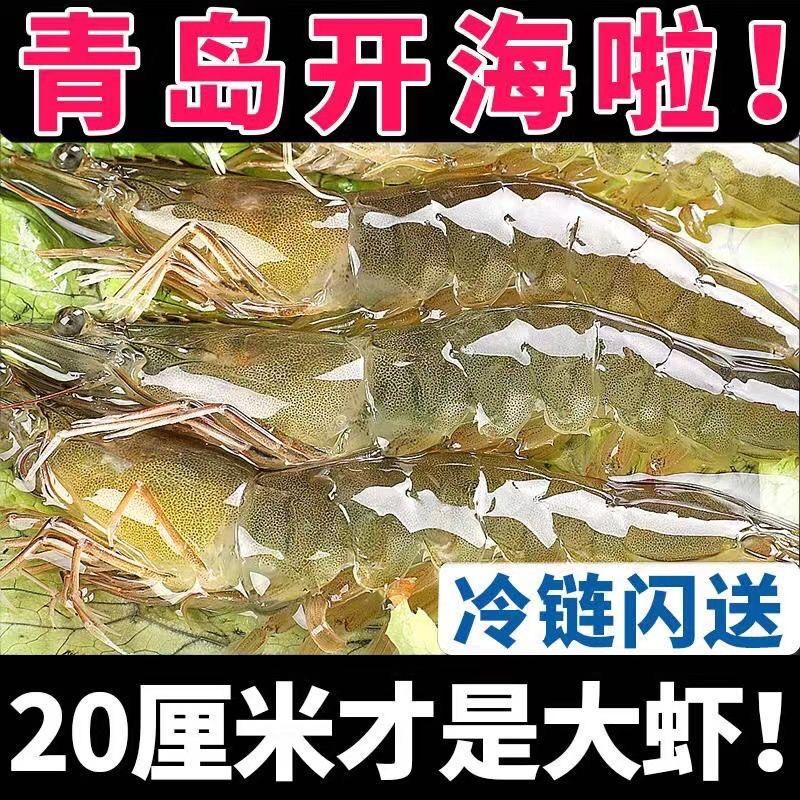 青岛大虾海鲜虾冷冻白虾对虾新鲜海捕速冻大虾整箱包邮