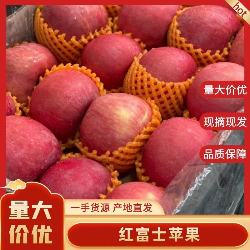 纸袋富士。甘肃通货，价格合理需要联系，商品，通货。高次都