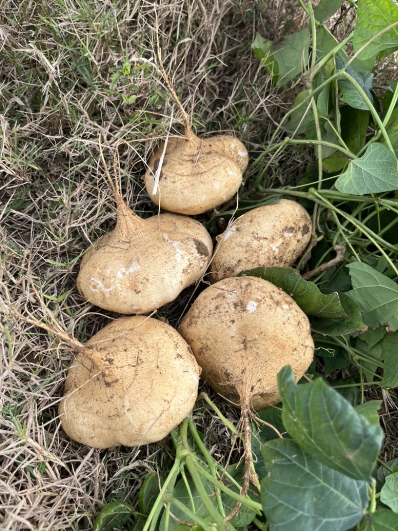 降价了降价了