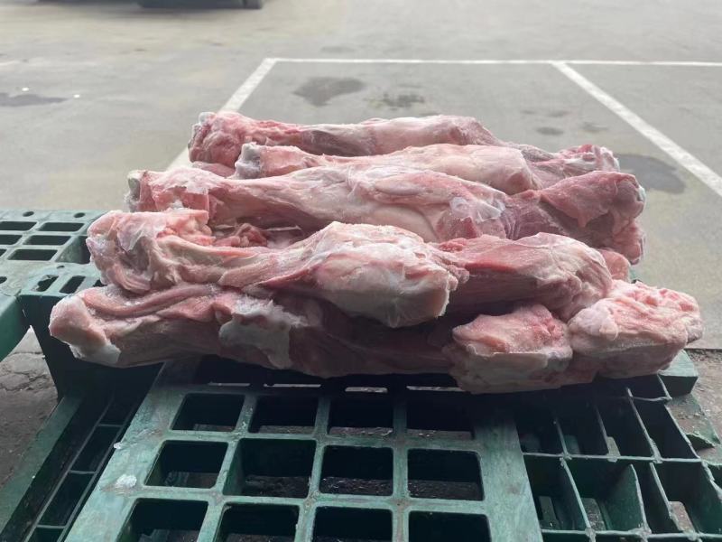 猪后腿骨
