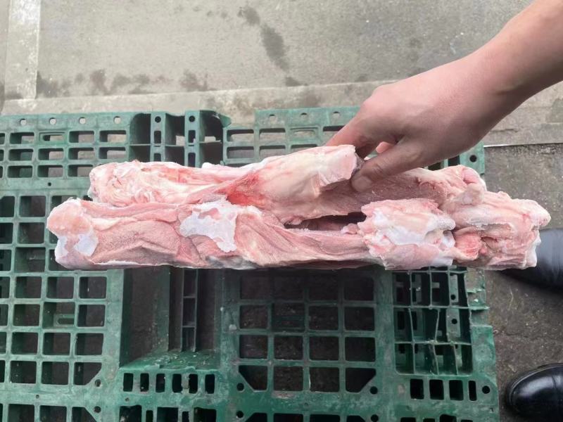 猪后腿骨