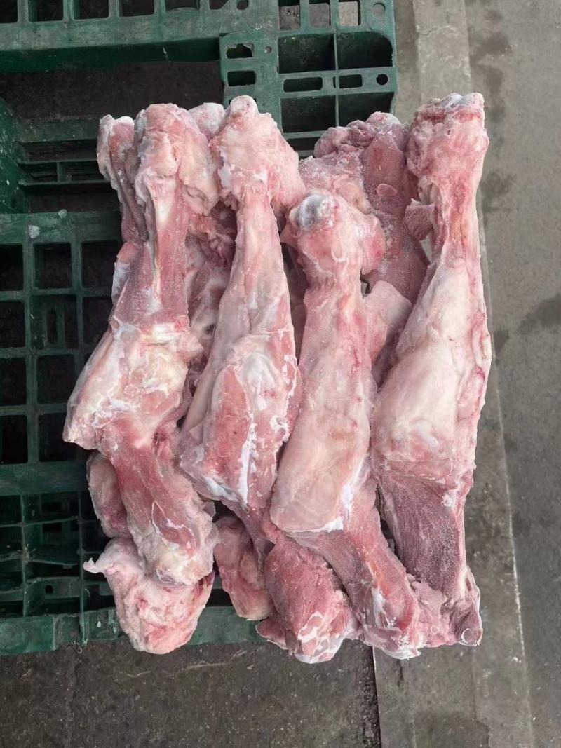 猪后腿骨