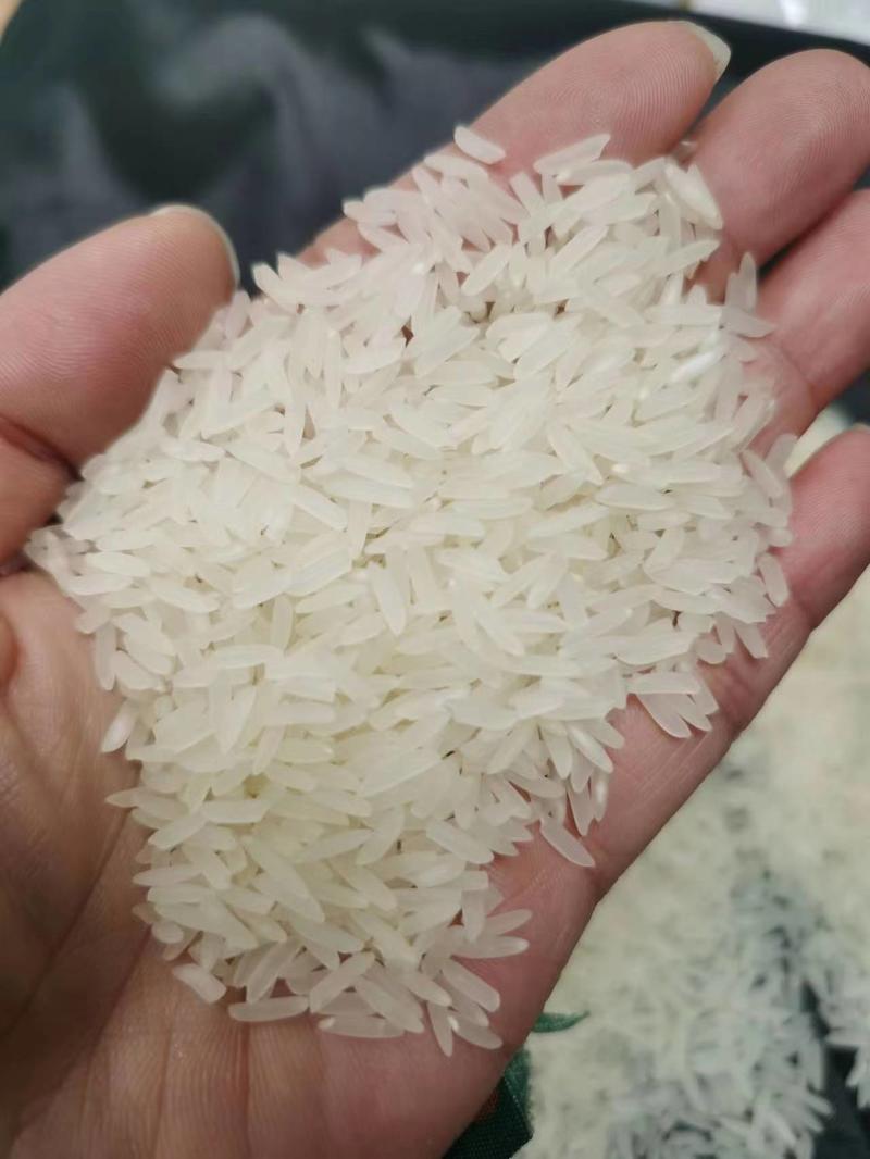重庆野香优959精品水稻种子，产地一手货源，品种优良