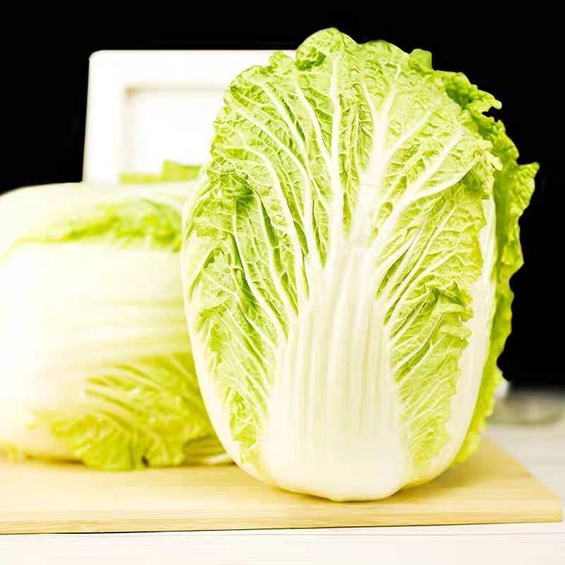 回头客多精品白菜大白菜黄心白菜以质论价欢迎来电