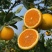 【爆】湖北九月红脐橙🍊供应市场电商~价格便宜～