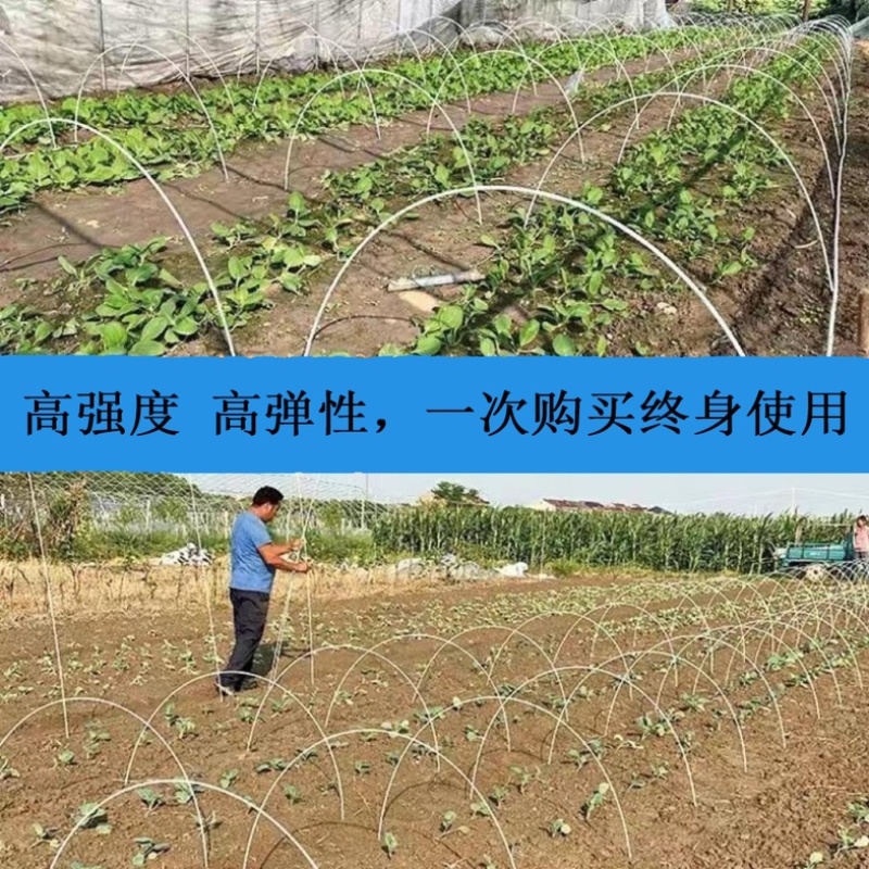 东莞玻璃纤维棒坚固耐用农业小拱棚育苗支撑杆大棚配件
