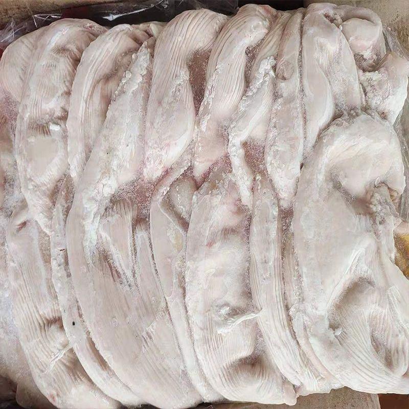 新鲜冷冻猪肚批发20斤商用整箱大肚卤菜煲汤饭店猪肚