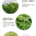 美国籽粒苋种子牧草种子千穗谷高蛋白鸡鸭鹅家禽喜食牧草种籽