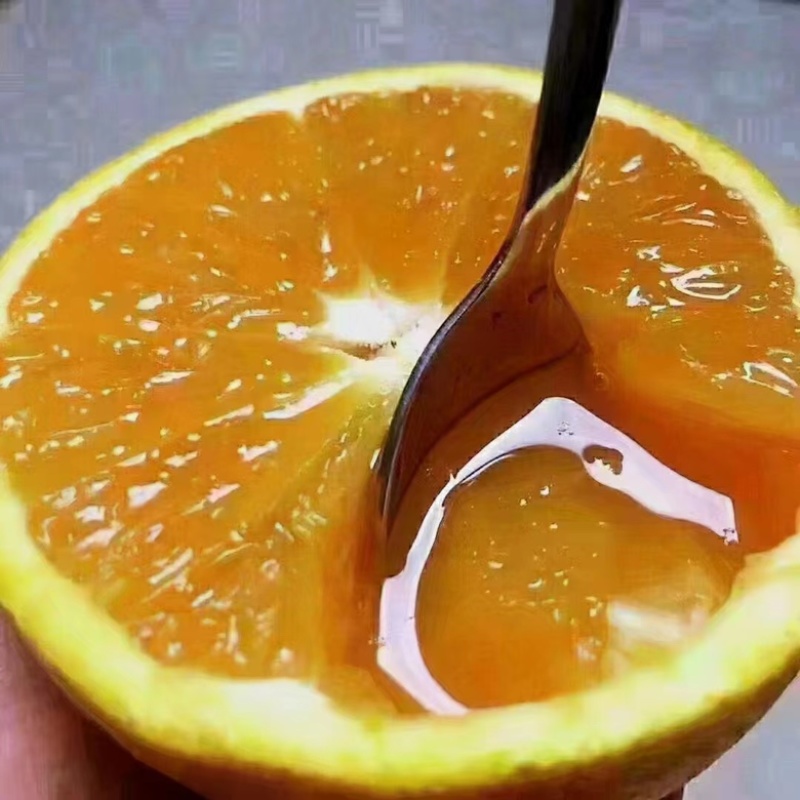 【爆】湖北九月红脐橙🍊供应市场电商~价格便宜～