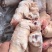 带筋小猪蹄，34-39个