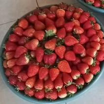 蒙特瑞，盛安，草莓