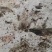 龙涎香龙腹香