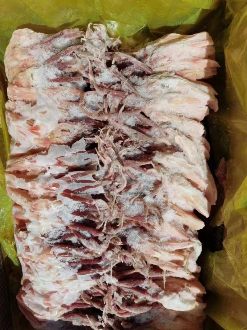 大板麻鸭舌