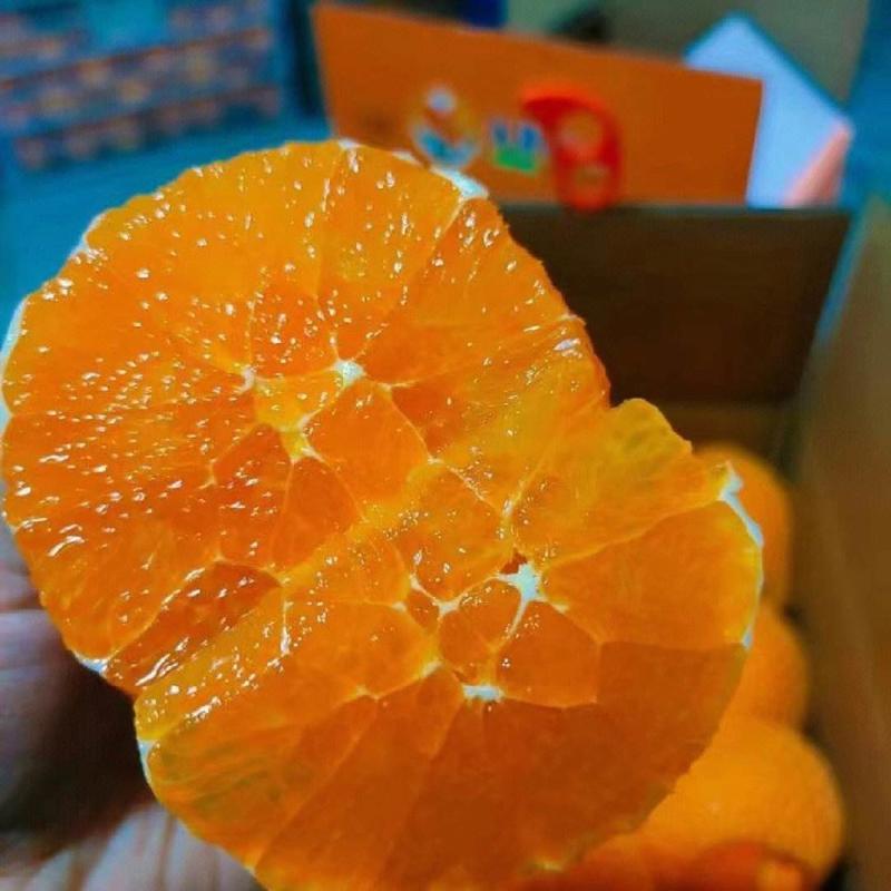 【实力】湖北九月红脐橙个大汁多甜度高对接全国电商商超市场