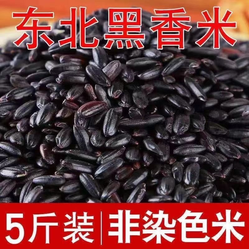 东北五常黑米5斤装新米黑米原料黑米农家大米黑米包邮