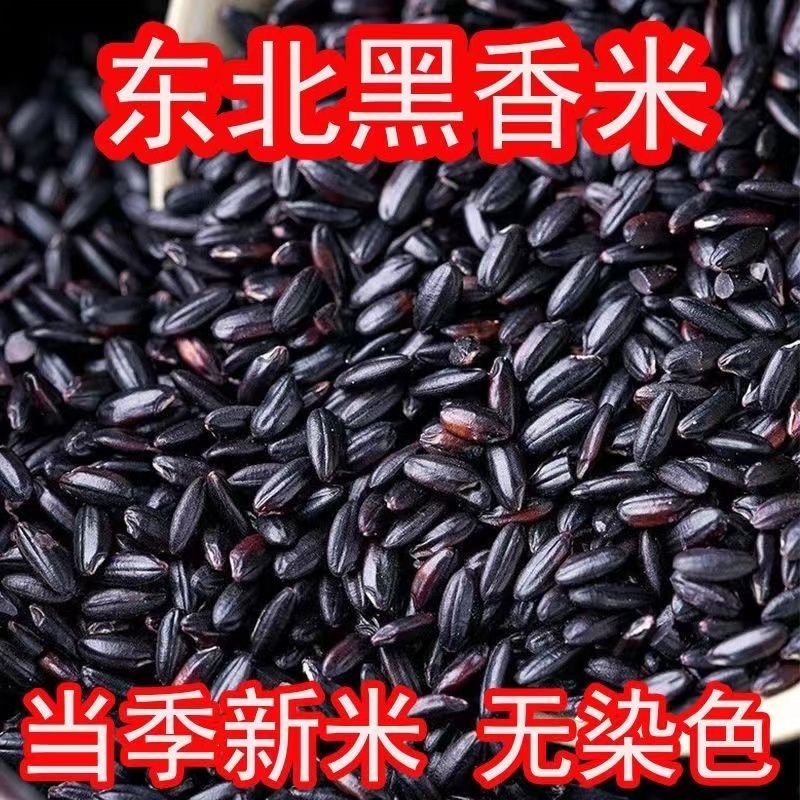 东北五常黑米5斤装新米黑米原料黑米农家大米黑米包邮