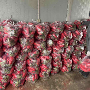 需要的可以联系我