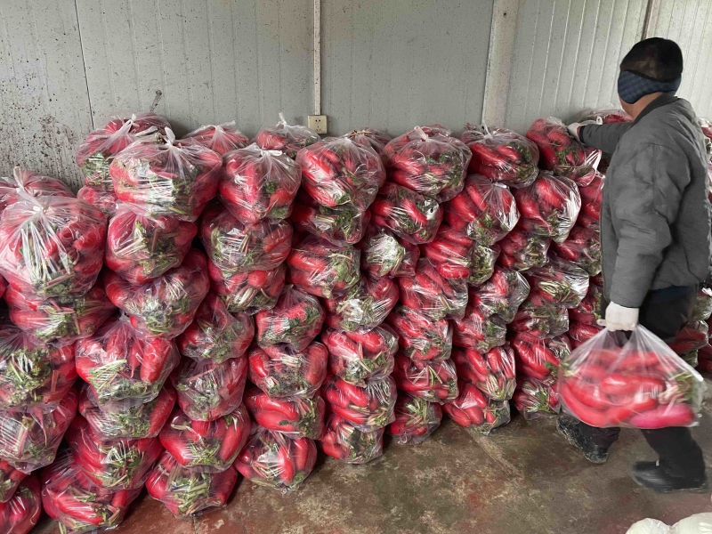需要的可以联系我