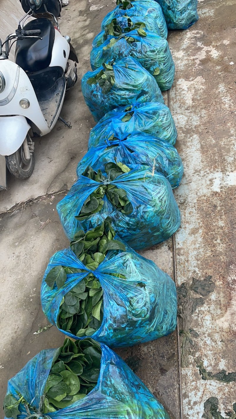 需要的可以联系我